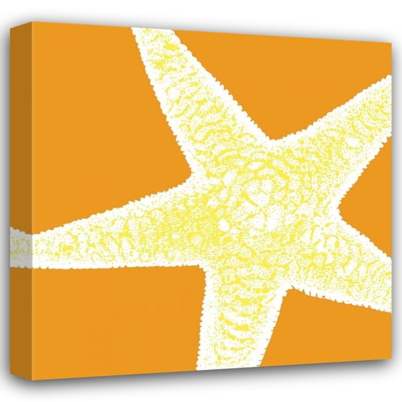 N Harbick 26x26 Gallery Wrapped Canvas Wall Art Titled - Graphic Shell I