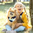 thumbnail image 5 of Unicorn Chiffon Yarn Dog Scarf Set of 2 - Translucent Light and Breathable Pet Collars 16x16x22.8in, 20.9x20.9x30in - Pack of Two, 5 of 5