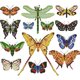 thumbnail image 2 of Hilo Algodón Ecológico Bordado Parcial Punto Cruz Mariposa Impreso 14CT 34x30cm, 2 of 8