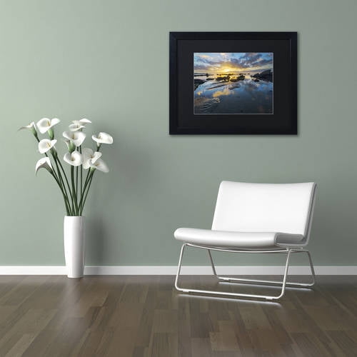 Trademark Fine Art "Nature's Gift" Canvas Art by Mathieu Rivrin, Black Matte, Black Frame