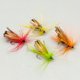 thumbnail image 5 of Insectos Biónicos Moscas 32pcs Naturales Señuelos Pesca Colocados Con Mosca Seca Atando Gancho Afilado, 5 of 9