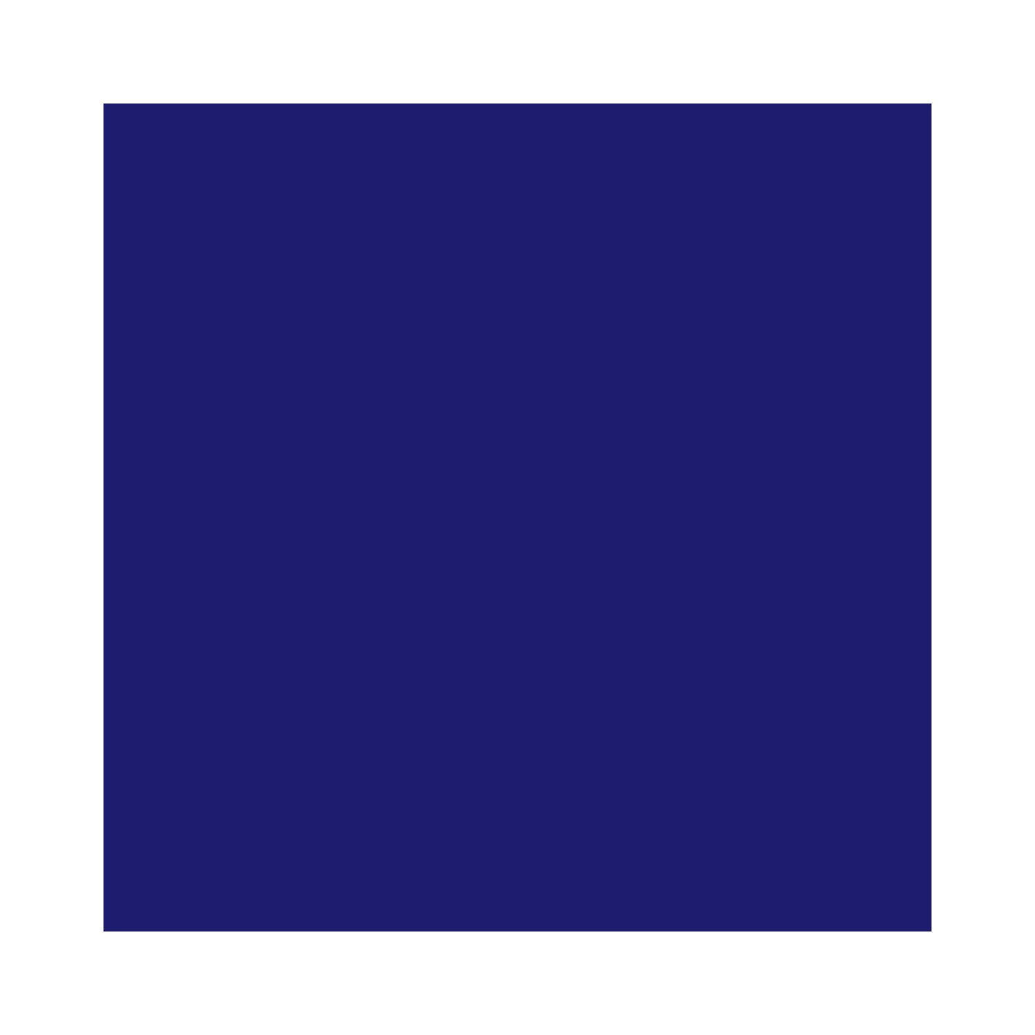 Blazing Needles Renewal 10-inch Twill Full-size Futon Mattress - Royal Blue