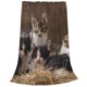 thumbnail image 2 of Balery Cat Family Manta de Felpa Suave y Acogedora – Cobija de Franela Aterciopelada para Cama, Lavable y Cálida para Sofá, Mascotas, Transpirable-40"x30", 2 of 7