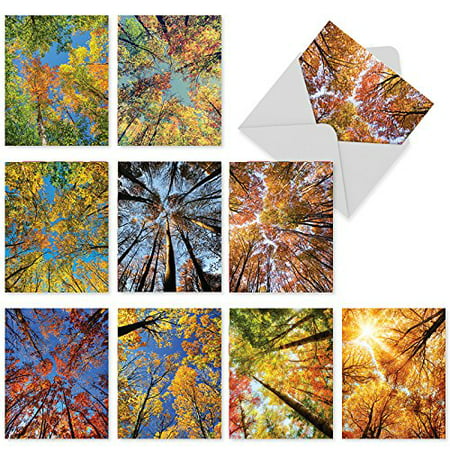 'M3006 M3006 Over The Top' 10 Assorted Thank You Note Cards Featuring Colorful Nature Inspired Photography Of Autumnal Trees Reaching Skyward with Envelopes by The Best Card (Top 10 Best Paper Airplanes In The World)