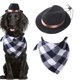 thumbnail image 3 of Disfraz de Mascota Jinwen Vaquero Sombrero y Bandana Negro, 3 of 7