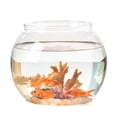 thumbnail image 3 of Pecera transparente perfecl acuario 16cmx18cm, 3 of 7