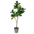 thumbnail image 1 of Vickerman FH190150 5 ft. Green Potted Fiddle Tree in Pot, 1 of 3