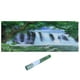 thumbnail image 4 of Decoración del acuario, PVC debajo del árbol, cascada, papel tapiz para acuario, papel tapiz de fondo para acuario, confiabilidad excepcional Jadeshay  A, 4 of 8
