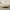 Gold, variant on alazyhome Classic Metal Twin Size Platform Bed Frame, Gold