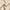 Beige, variant on Hiasan White Round Tablecloth 60 Inch - Waterproof Stain Resistant Spillproof Polyester Fabric Table Cloth for Dining Room Kitchen Parties