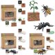 thumbnail image 1 of Figuras de animales Montessori de Toy MIKNEKE Life Cycle para niños mayores de 3 años, 1 of 1