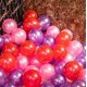 thumbnail image 1 of Diseño de escena de decoración de boda para habitación de bodas con globos impresos transparentes y estrellas para fiesta de cumpleaños, 1 of 1