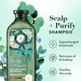 thumbnail image 3 of Herbal Essences Scalp + Purify Eucalyptus Sulfate-Free Shampoo, 13.5 fl oz, 3 of 8
