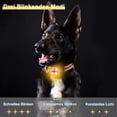 thumbnail image 3 of Luz de seguridad LED intermitente para perros (amarilla) y gatos - Lámpara LED recargable por USB para perros, 3 modos de parpadeo, luz de seguridad impermeable para mascotas, 3 of 5