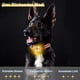 thumbnail image 3 of Luz de seguridad LED intermitente para perros (amarilla) y gatos - Lámpara LED recargable por USB para perros, 3 modos de parpadeo, luz de seguridad impermeable para mascotas, 3 of 5