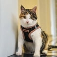 thumbnail image 3 of Voyager Step-in Air All Weather Mesh Harness and Reflective Dog 5 ft Leash Combo with Neoprene Handle, for Small, Medium and Large Breed Puppies - Black/Orange Trim, Small, 3 of 9