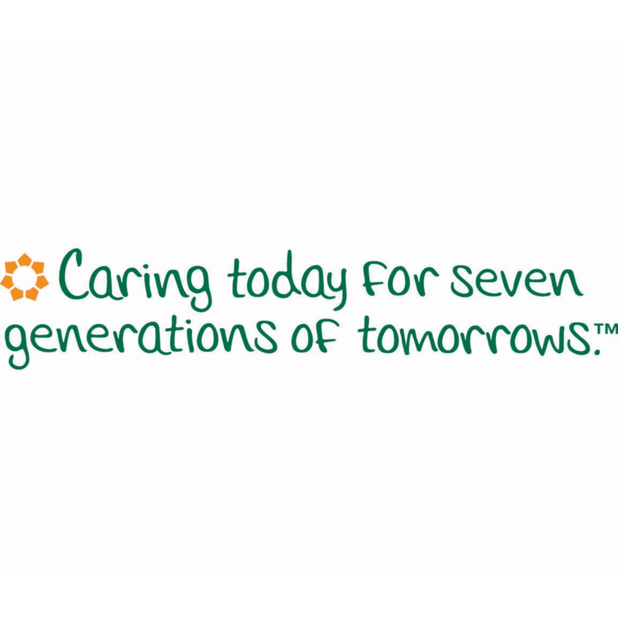 Seventh Generation 100 Recycled Bathroom Tissue Septic Safe 2-Ply White 240 Sheets Roll 24 /pack (SEV13738)