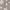 Vivid White, variant on No Boundaries Women's Crochet Star Coverup Dress, Sizes XXS - XXL