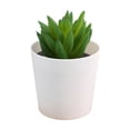 thumbnail image 2 of AUNVITO Artificial Mini Bucket Succulent Plant, Faux Potted Cactus Greenery for Home Office Desk Tabletop Shelf Decor, 1pc, 2 of 6