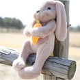 thumbnail image 2 of Easter Toy - Adorable 20cm Bunny Stuffed Animal Rabbit Doll with Carrot Soft Toy for Kids for Birthdays and Parties, 2 of 4