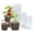 3/4/5 Inch,15 Pack, variant on PandaTop Clear Nursery Pots 4 Inch Plastic Planter with Drainage Holes, Small Plastic Flower Pots for Seedling (30 Pcs)