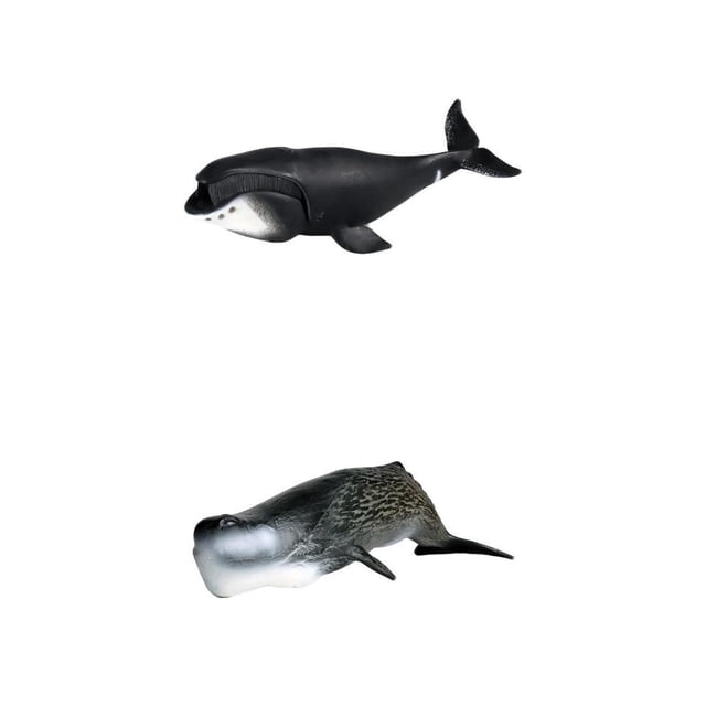 Juego de 2 figuras realistas de ballenas oceánicas, juguetes educativos en miniatura decorativos estilo 5 perfke figura de ballena