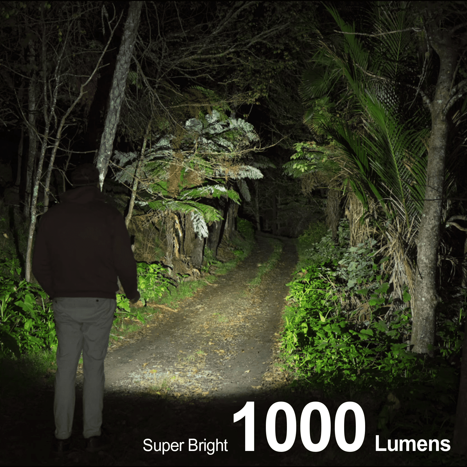 AceBeam Pokelit AA Cool White LED 1000 Lumens Flashlight