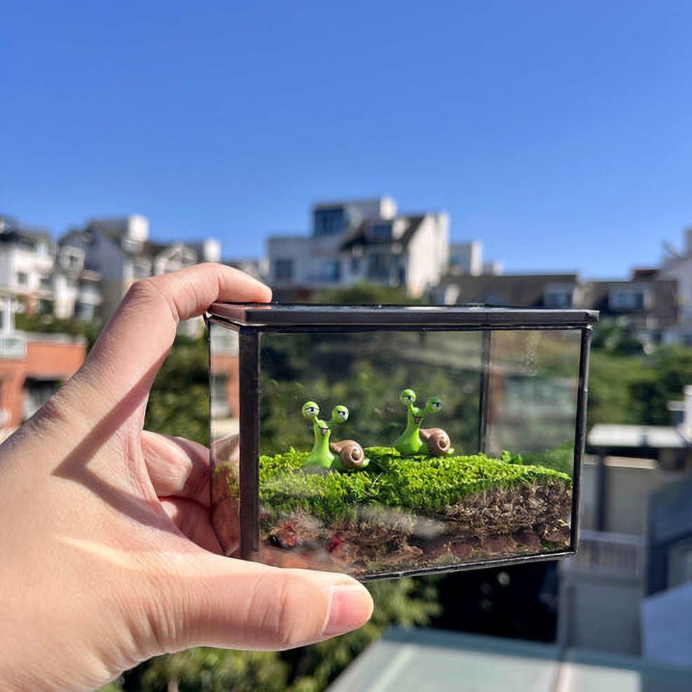Smile Snail Desktop Decoration Micro Landscape Lawn Handmade Decor Preserved Moss Art