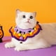 thumbnail image 4 of Collar Para Gatos De Halloween Con Diseño De Calabaza De Punto, Accesorios Para Mascotas Para Interior Y Exterior, Festivo, Cómodo Y Duradero, Poliéster, 4 of 4