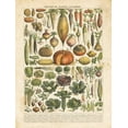 thumbnail image 2 of Babbitt, Gwendolyn 25x32 Black Ornate Wood Framed with Double Matting Museum Art Print Titled - French Vegetable Chart, 2 of 4