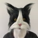 thumbnail image 2 of Máscara de gato negro con pelo para cosplay, Halloween, baile de máscaras, 2 of 2
