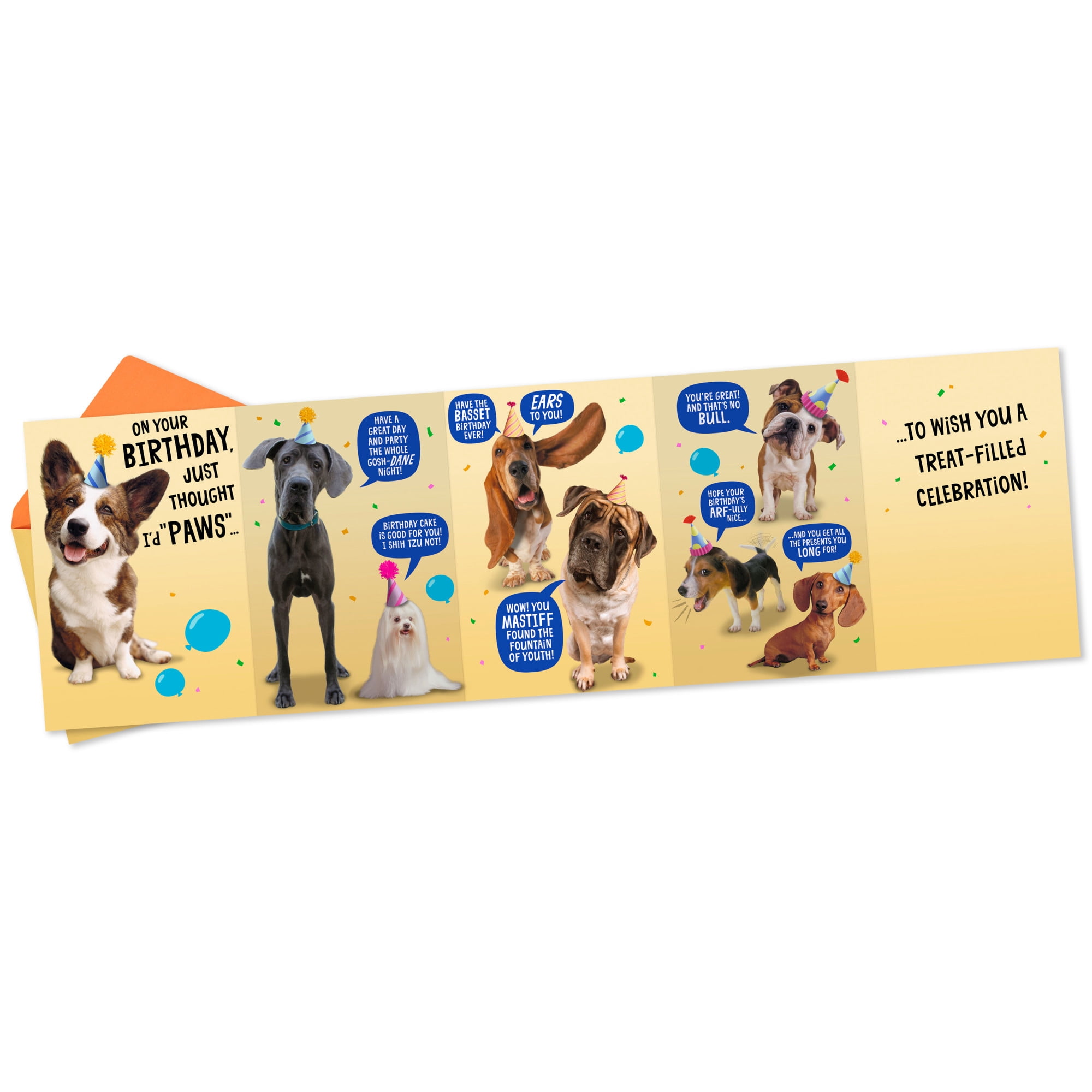 Hallmark Funny Birthday Card (Wishing You a Treat-Filled Celebration)