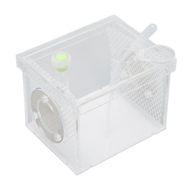 Tanque de recinto para insectos reptiles, Mini caja hidratante acrílica ...