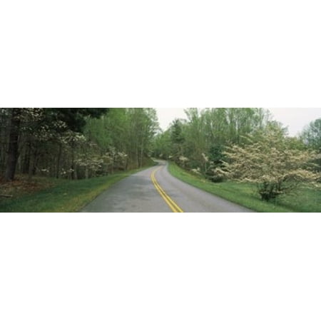 Road passing through a landscape Blue Ridge Parkway Virginia USA Canvas Art - Panoramic Images (18 x