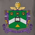 thumbnail image 3 of CafePress - Delta Sigma Phi Coat Of Arms T Shirt - Womens Comfort Colors® Shirt, 3 of 4