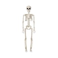 thumbnail image 2 of Decoraciones de Halloween Cateissary esqueleto gigante al aire libre para casas encantadas, 2 of 6
