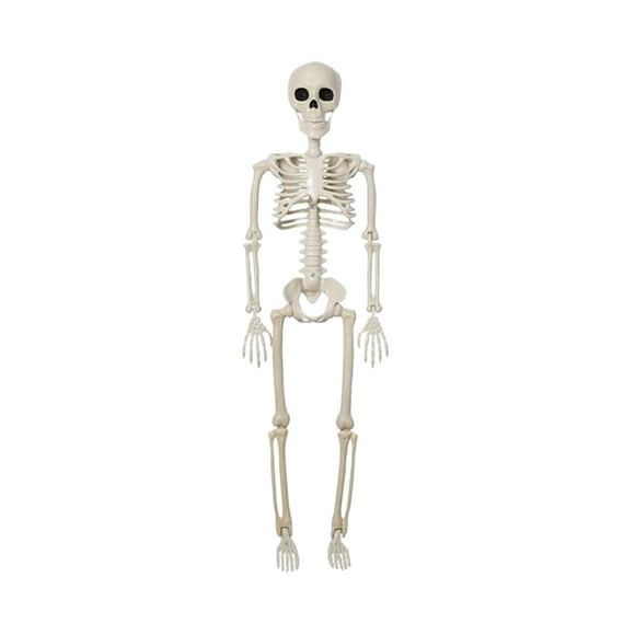 fastboy Weather-resistant Giant Skeleton For Eerie Halloween Scenes With Removable 1