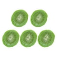 thumbnail image 1 of kurtrusly 5pcs/set Watermelon Slices For Still Life Sketching In Mall Emissions False Cherry Decoration PVC 14, 1 of 6