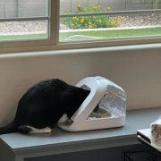 Front Cover for SureFeed Microchip Pet Feeder, Avoid Pets competing for Food, Prevent Food Stealing for Cats and Small Dogs (Cat Shape)