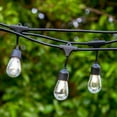 thumbnail image 6 of Brightech Ambience Pro Solar Powered LED Outdoor String Lights 27 ft, Waterproof Shatterproof 1W Edison Bulbs for Patio, Porch, Backyard, 3000K Neutral White, 6 of 8