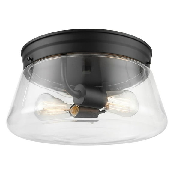 Plafonnier affleurant d’extérieur à 2 ampoules Aleyna, noir mat, abat-jour en verre transparent