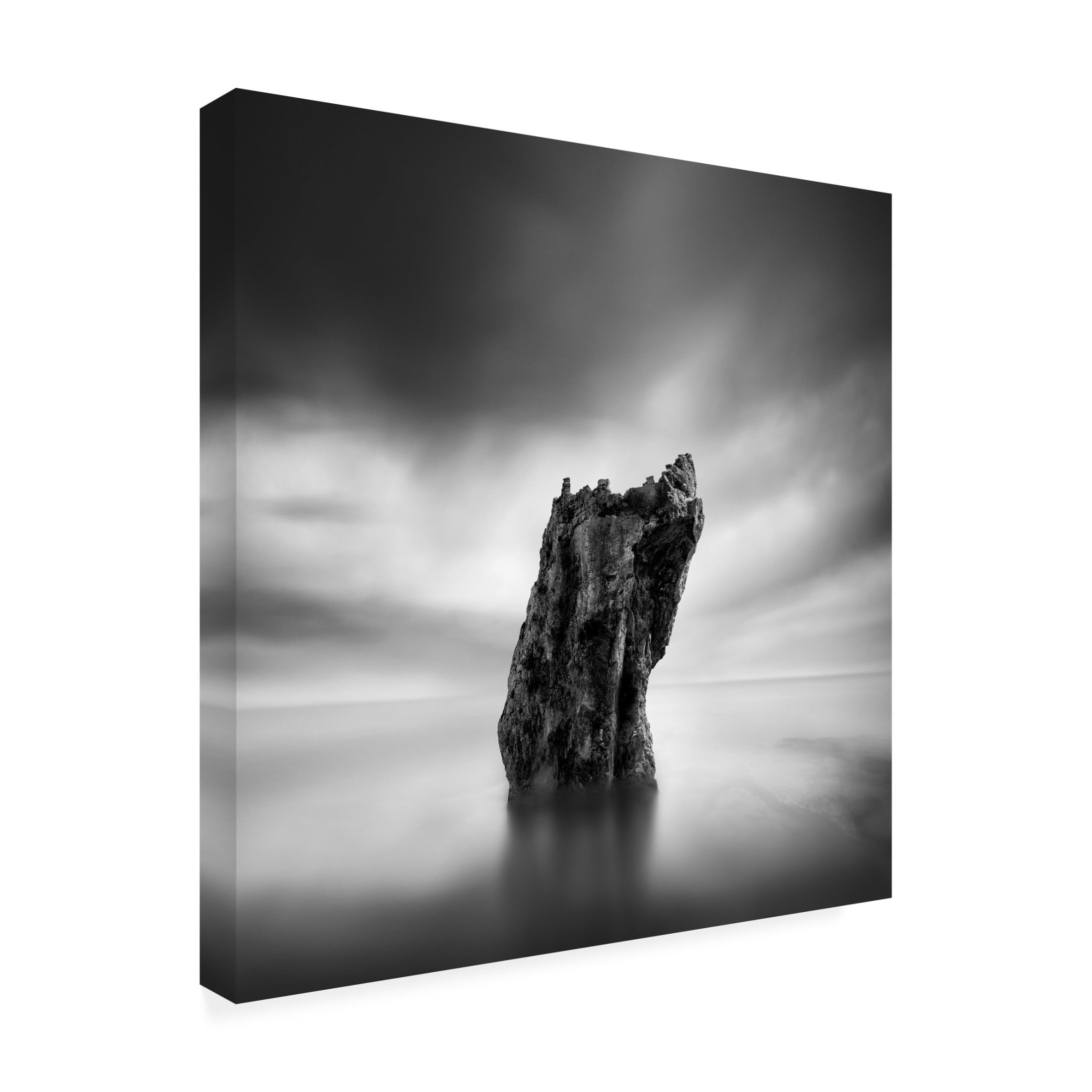 Canvas Wall Art - George Digalakis 'Awakening' Wall Art for Living Room, Bedroom, or Office D?cor by Trademark Fine Art - 14 x 14 Inches