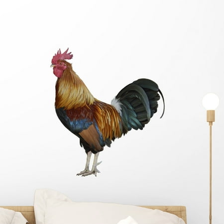 Roaster Decals Colorful Rooster Wall Mural by Wallmonkeys Peel and Stick Graphic (18 in H x 16 in W) WM171191 ()