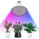thumbnail image 2 of 3pcs Led Grow Light Bulb For Indoor Plants - Full Spectrum Lamp Garden Decorate, 2 of 5