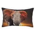 thumbnail image 1 of Fotbe Elephant Sunset in Kenya Funda de Almohada Decorativa Estilo Occidental, Lujo en Algodón, Fundas para Almohadas King, Cojín Estampado para Decoración del Hogar-16"x24", 1 of 6