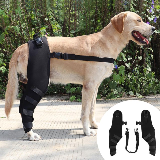 Soporte para patas de perro, soporte para patas traseras, envoltura quirúrgica para articulaciones de mascotas, protección para heridas, protector de rodillas para perros
