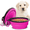 Purple, variant on Chef Kitty Collapsible Dog Bowl, Portable Travel Food & Water Bowl with Carabiner for Dogs & Cats, Green