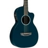 RainSong P12 6-String Parlor with 12-Fret NS Neck Green