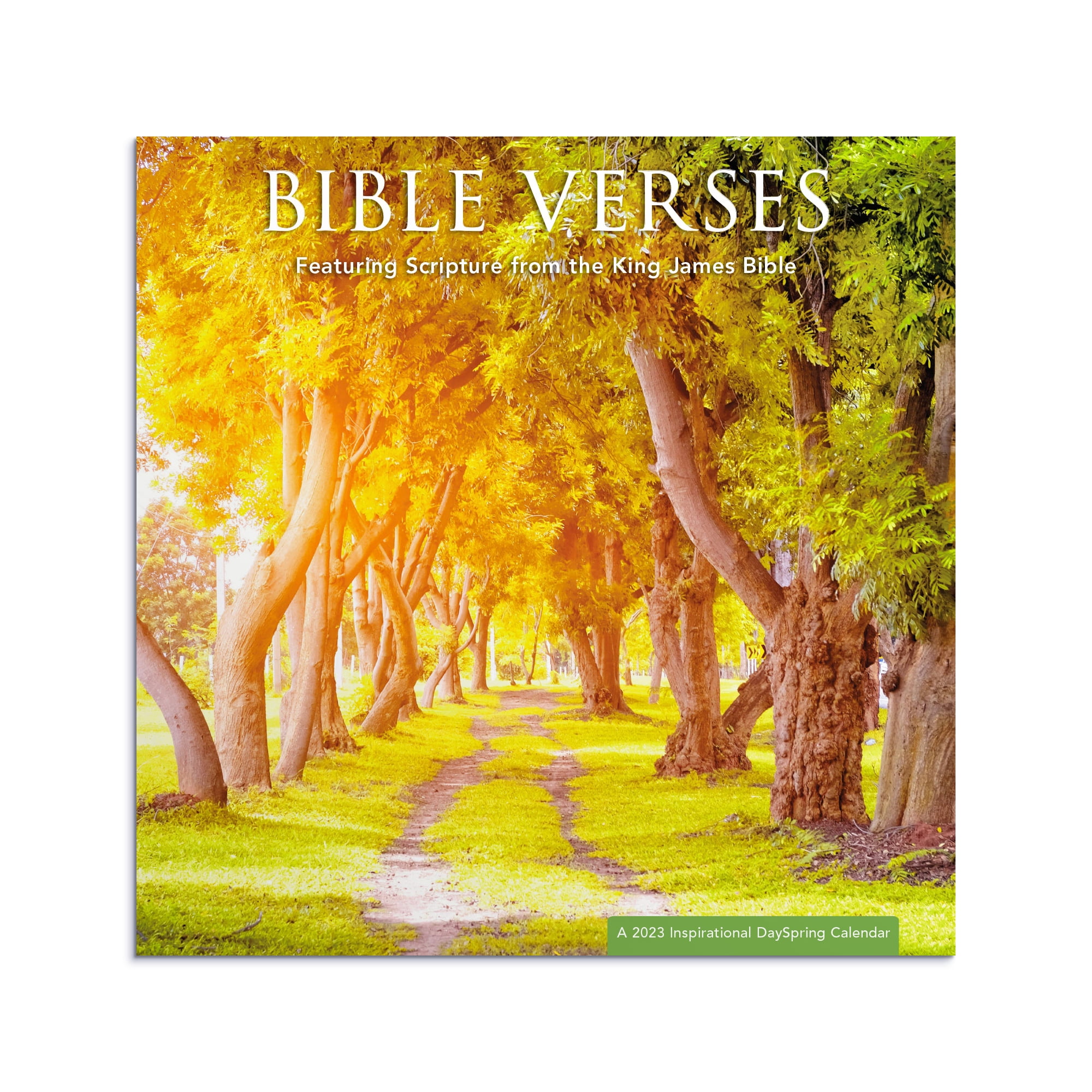 DaySpring, 2023 Bíblia Versículo Calendário da Angola Ubuy