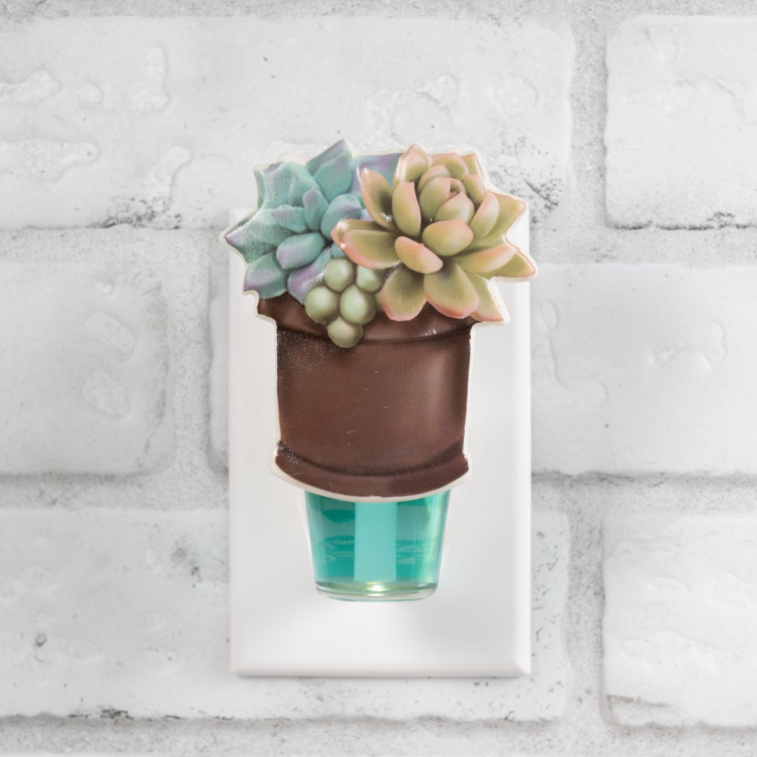 Diffuseur d’huile ScentCharm ScentSationals - Succulent Diffuseur d’huile parfumée